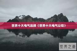 世界十大电气品牌（世界十大电气公司）