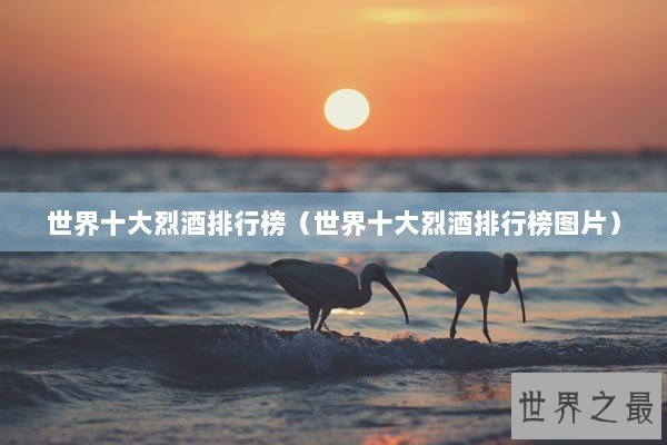 世界十大烈酒排行榜（世界十大烈酒排行榜图片）