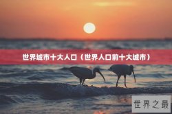 世界城市十大人口（世界人口前十大城市）