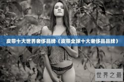 皮带十大世界奢侈品牌（皮带全球十大奢侈品品牌）