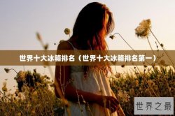 世界十大冰箱排名（世界十大冰箱排名第一）