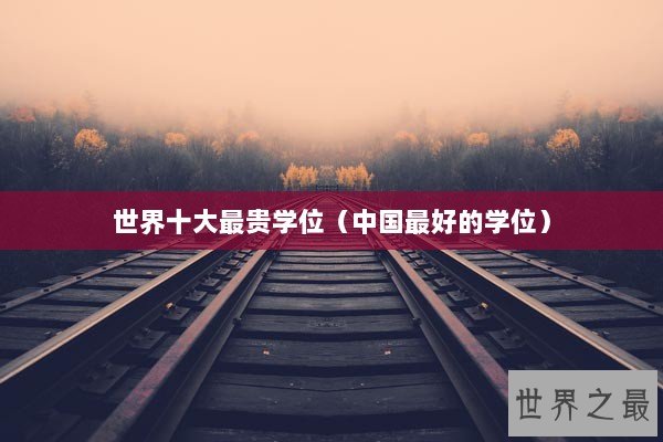 世界十大最贵学位（中国最好的学位）