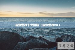 迷你世界十大拍档（迷你世界PK）