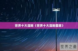 世界十大湿地（世界十大湿地国家）