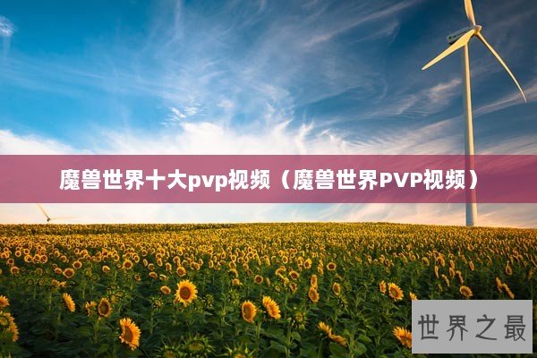 魔兽世界十大pvp视频（魔兽世界PVP视频）