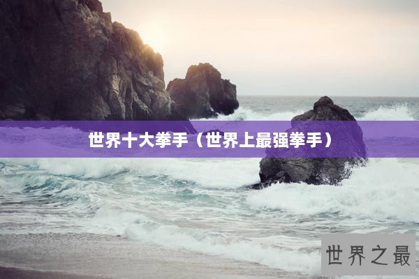 世界十大拳手（世界上最强拳手）
