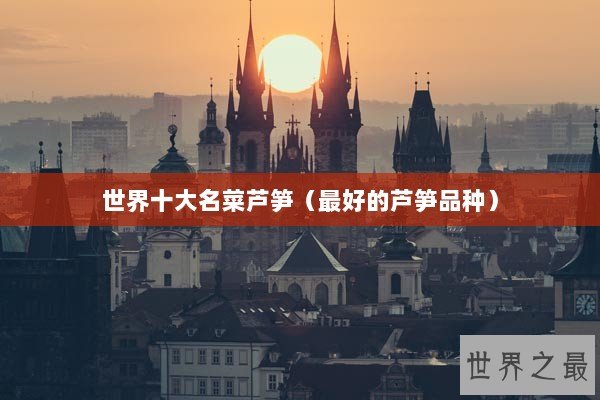 世界十大名菜芦笋（最好的芦笋品种）