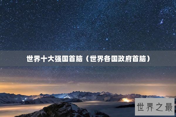 世界十大强国首脑（世界各国政府首脑）