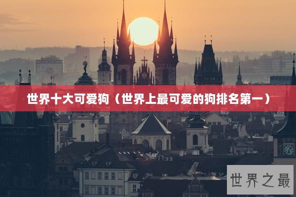 世界十大可爱狗（世界上最可爱的狗排名第一）