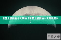 世界上最懒的十大动物（世界上最懒的十大动物图片）