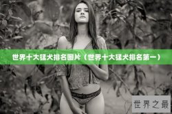 世界十大猛犬排名图片（世界十大猛犬排名第一）