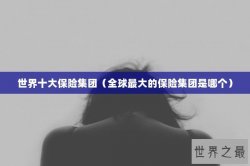 世界十大保险集团（全球最大的保险集团是哪个）