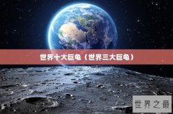 世界十大巨龟（世界三大巨龟）