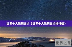 世界十大聪明名犬（世界十大聪明名犬排行榜）