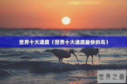 世界十大速度（世界十大速度最快的鸟）