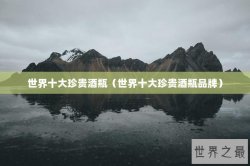 世界十大珍贵酒瓶（世界十大珍贵酒瓶品牌）