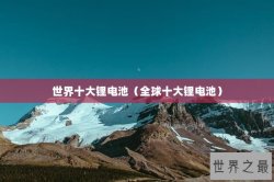 世界十大锂电池（全球十大锂电池）