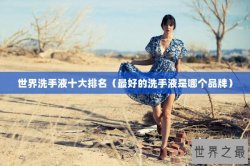 世界洗手液十大排名（最好的洗手液是哪个品牌）