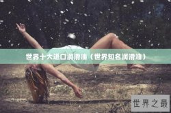 世界十大进口润滑油（世界知名润滑油）