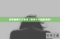 世界最美十大名诗（世界十大最美诗歌）