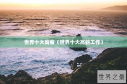 世界十大高薪（世界十大高薪工作）