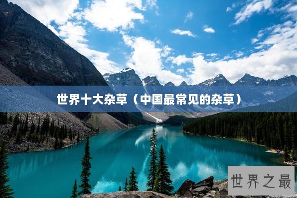 世界十大杂草(中国最常见的杂草) 世界十大杂草(中国最常见的杂草)