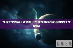 世界十大森林（贵州有一个原始森林茂密,是世界十大森林）