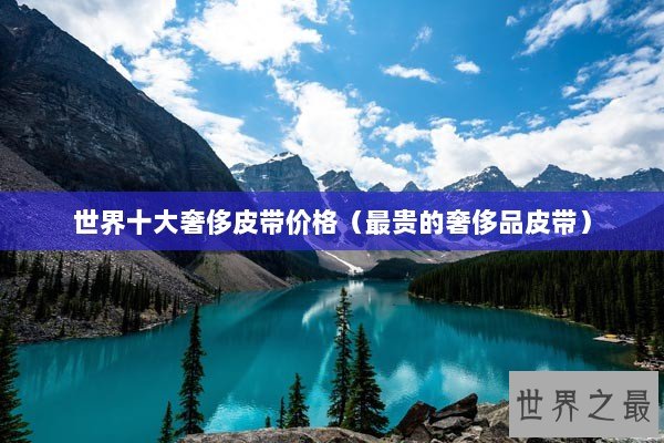 世界十大奢侈皮带价格（最贵的奢侈品皮带）