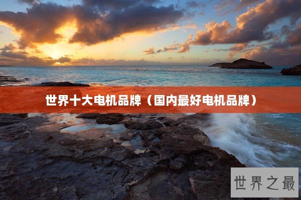 世界十大电机品牌（国内最好电机品牌）