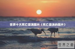 世界十大死亡漩涡图片（死亡漩涡的图片）