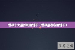 世界十大最好吃的饼干（世界最著名的饼干）
