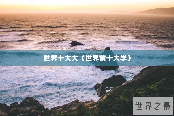 世界十大大（世界前十大学）