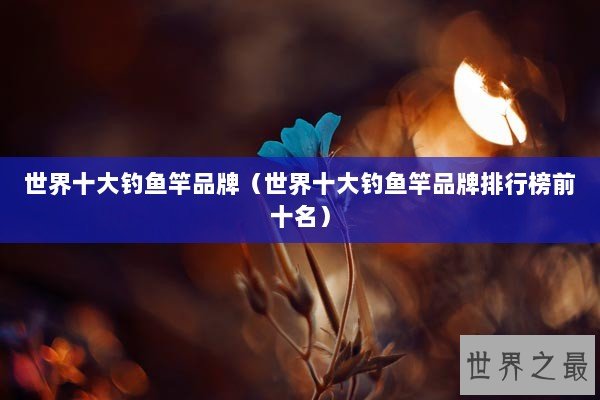 世界十大钓鱼竿品牌（世界十大钓鱼竿品牌排行榜前十名）