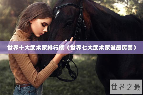 世界十大武术家排行榜（世界七大武术家谁最厉害）