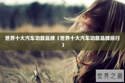 世界十大汽车功放品牌（世界十大汽车功放品牌排行）