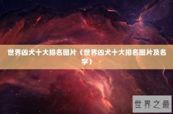 世界凶犬十大排名图片（世界凶犬十大排名图片及名字）