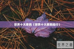 世界十大恶狗（世界十大恶狗排行）