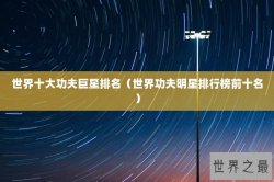 世界十大功夫巨星排名（世界功夫明星排行榜前十名）