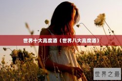 世界十大高度酒（世界八大高度酒）