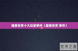 魔兽世界十大玩家事件（魔兽世界 事件）