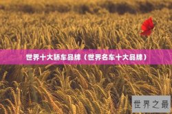 世界十大轿车品牌（世界名车十大品牌）