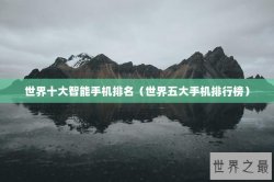 世界十大智能手机排名（世界五大手机排行榜）