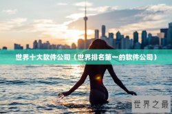 世界十大软件公司（世界排名第一的软件公司）
