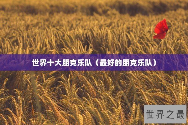 世界十大朋克乐队（最好的朋克乐队）