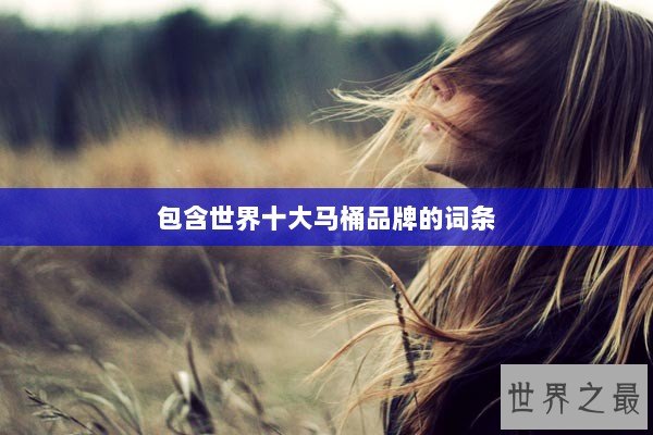 包含世界十大马桶品牌的词条