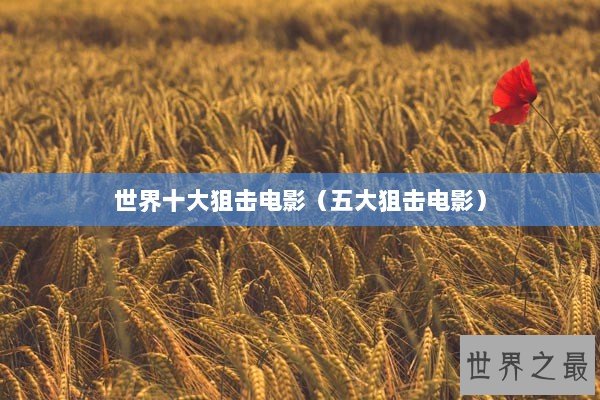 世界十大狙击电影（五大狙击电影）