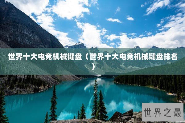 世界十大电竞机械键盘（世界十大电竞机械键盘排名）
