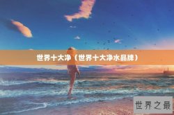 世界十大净（世界十大净水品牌）