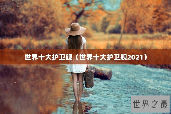 世界十大护卫舰（世界十大护卫舰2021）