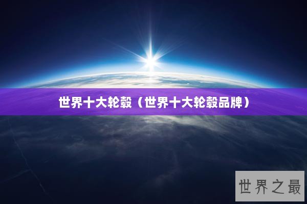 世界十大轮毂（世界十大轮毂品牌）